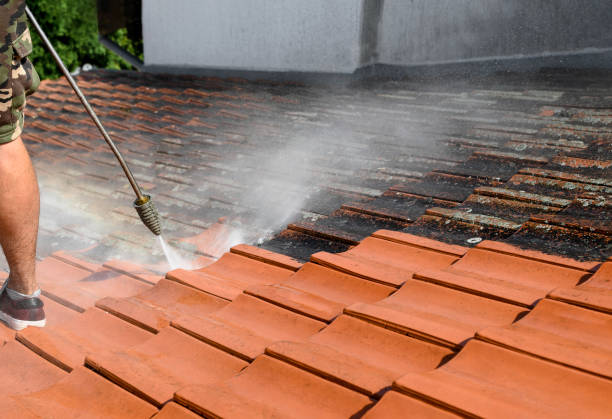 Best Roof Power Washing Services  in Benson, MN