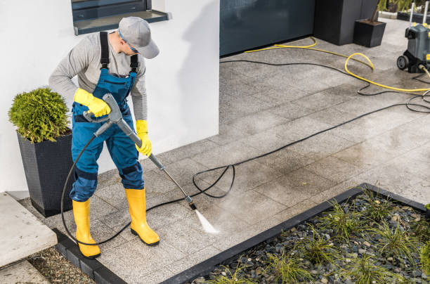 Best Roof Pressure Washing  in Benson, MN