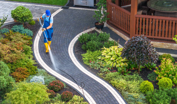 Best Power Washing Near Me  in Benson, MN